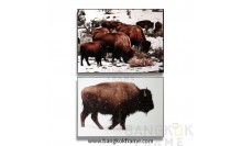 กรอบรูปอลูมิเนียมสีดำ-กรอบรูปสัตว์-สั่งกรอบง่ายๆด้วยตัวเอง